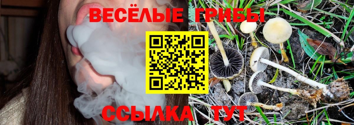 Галлюциногенные грибы Magic Shrooms  Вход с VPN  Донецк  Галлюциногенные грибы Cubensis 